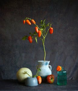 Rustikt stilleben med orange tomater