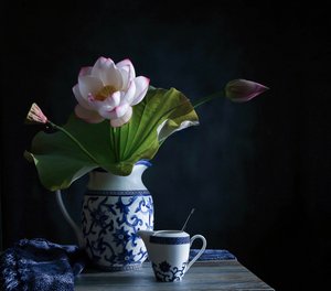 Fredfyldt lotusarrangement af Fangping Zhou