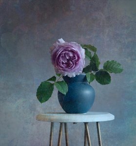 Fredfyldt lilla rose