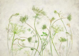 Bløde grønne botaniske motiver af Fangping Zhou