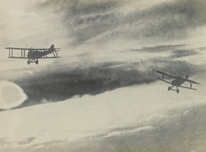 [To fly] af Fedele Azari