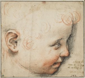 Et barnehoved i profil; måske til Jesusbarnet af Federico Barocci