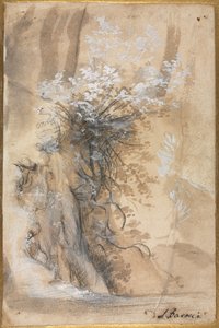 Blomstrende busk over en eroderet bred af Federico Barocci
