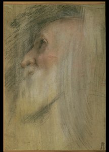 Hoved af en gammel mand i profil, ca. 1575-9 (pastel, sort kridt og sangvin) af Federico Barocci