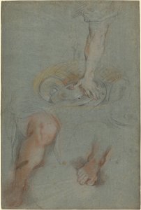 Studier for en tjener i "Den sidste nadver" af Federico Barocci
