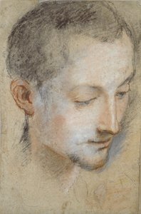Studie af en ung mands hoved, slutningen af det 16. århundrede af Federico Barocci