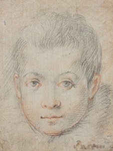  af Federico Zuccaro