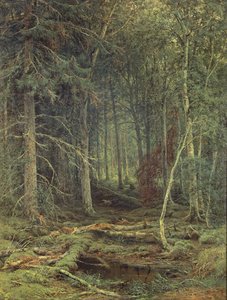 Sump i skoven, efterår, 1872