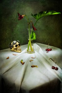 Gothic Skull Vanitas af Felice Angelino