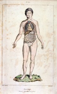 Anatomisk illustration af F. E. Guerin. Fra Dictionnaire pittoresque d