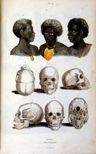 Antropologisk illustration af den etiopiske race af Felix-Edouard Guerin