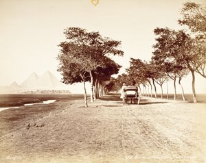Kairo, Pyramidernes Allé #98 af Félix Bonfils