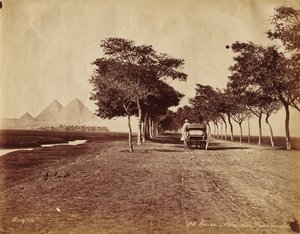 Cairo. Pyramidernes gyde