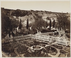 Getsemane Have nr. 303 af Félix Bonfils