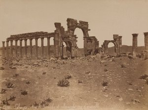 Palmyra: oversigt over triumfbuen og søjlegangen af Félix Bonfils