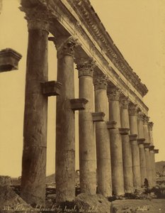 Rester af søjlegangen i Solens tempel i Palmyra, Syrien af Félix Bonfils
