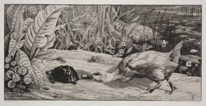 En ukendt af Felix Bracquemond