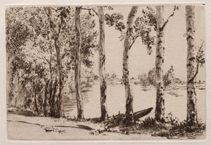 Aspens på Seinebredden. af Felix Bracquemond