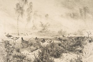 Morgentåger, 1882.