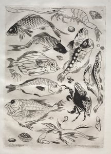 Middagsservice (Rousseau-service): Fisk (nr. 24) af Felix Bracquemond