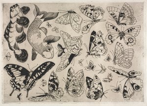 Middagsservice Rousseau-service: Sommerfugle og fisk nr. 16, 1866. af Felix Bracquemond