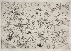 Middagsservice Rousseau-service: Blomster og insekter nr. 15, 1866.