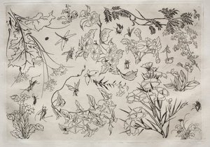 Middagsservice Rousseau-service: Blomster nr. 22, 1866.