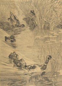 And Frolic, 1850-1914. af Felix Bracquemond