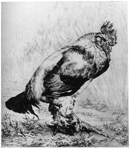 Hanen, c1850-1910, 1924.