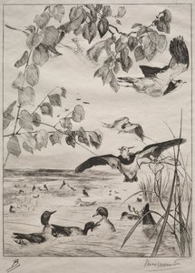Viber og krikand, 1862. af Felix Bracquemond