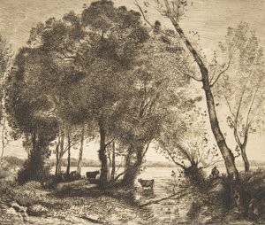 Søen, 1861. af Felix Bracquemond