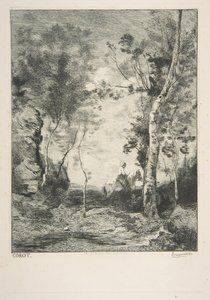 Den hvide hest, 1858. af Felix Bracquemond