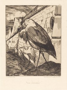 Les Cigognes (Storkene) af Felix Bracquemond
