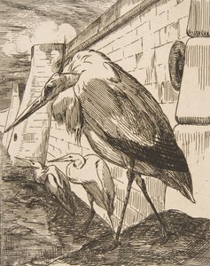 Storkene, 1870