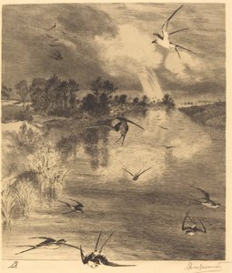Les Hirondelles (Svalerne) af Felix Bracquemond
