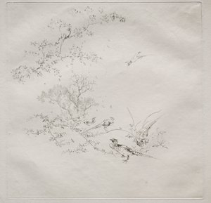 Parisertjeneste (Haviland-tjenesten): Tåge (nr. 1)