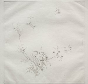 Parisertjeneste Haviland-tjeneste: Månen nr. 5, 1875.
