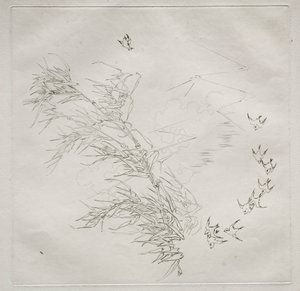 Parisertjeneste Haviland-tjeneste: Stormen no. 8, 1875. af Felix Bracquemond