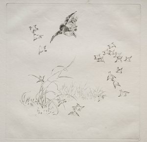 Parisian Service Haviland service: The Terror no. 4, 1875. af Felix Bracquemond