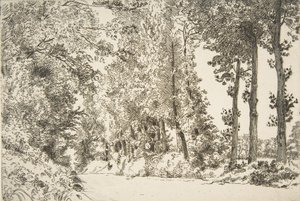 Rue des Bruyères, i Sèvres, 1868.