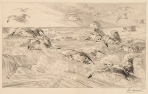 Måger af Felix Bracquemond