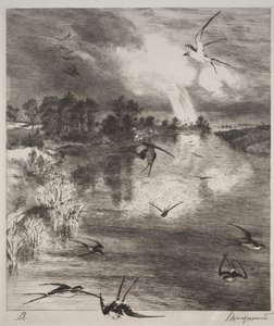 Svaler af Felix Bracquemond