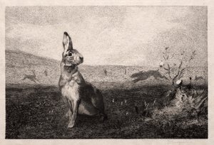 Haren (efter A. de Balleroy) af Felix Bracquemond