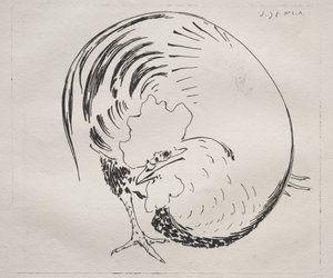 The High-Fired Service: Hane (modsikker) af Felix Bracquemond