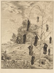 Muldvarpene af Felix Bracquemond