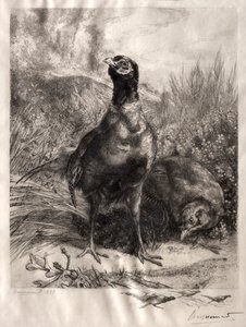 Fasanerne af Felix Bracquemond