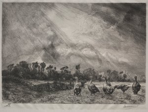 Stormskyen, 1878-1887. af Felix Bracquemond