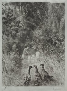De overraskede ænder af Felix Bracquemond