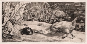 Det ukendte, 1862.