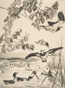 Viber og Sarcelles, 1862. af Felix Bracquemond